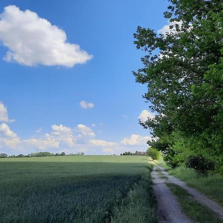 Vierseitenhof Hasenfelde - Ferienwohnung Feldblick Steinhofel المظهر الخارجي الصورة