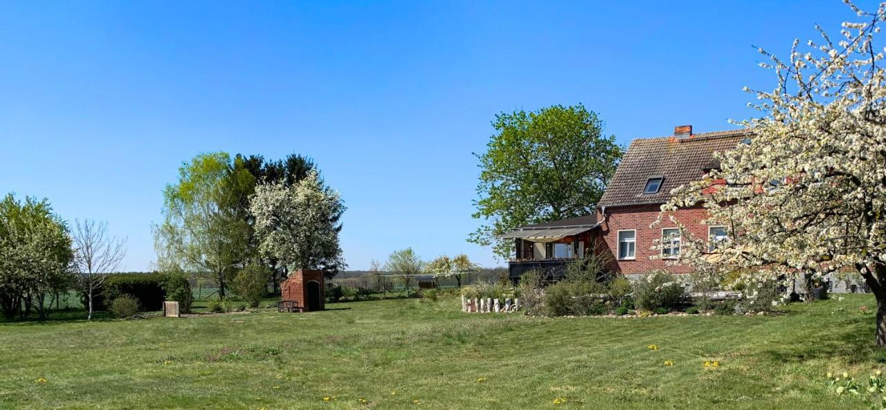 Vierseitenhof Hasenfelde - Ferienwohnung Feldblick Steinhofel المظهر الخارجي الصورة