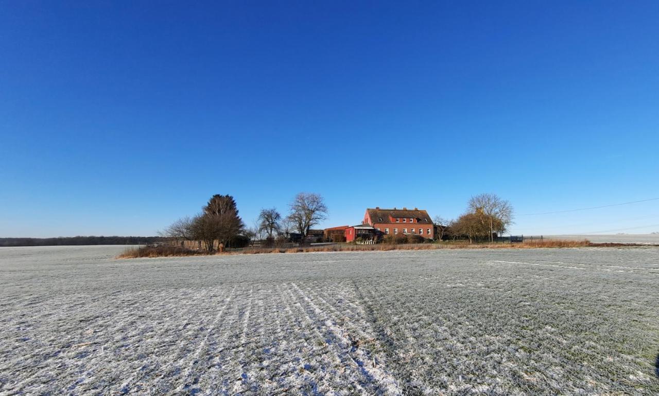Vierseitenhof Hasenfelde - Ferienwohnung Feldblick Steinhofel المظهر الخارجي الصورة